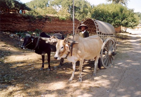 Burma