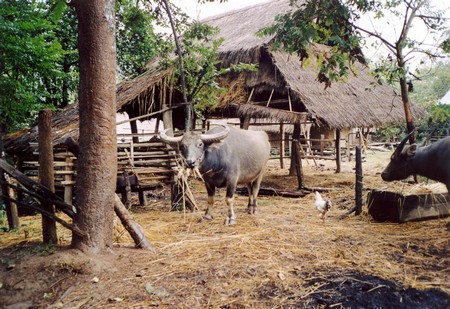 Lake Taungthaman