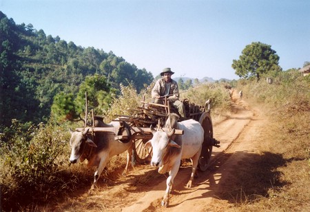 Burma- a journey of discovery