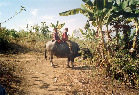 Burma- a journey of discovery