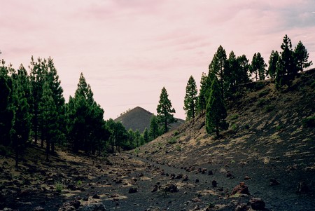 Hiking 3 Canary Islands at Christmas