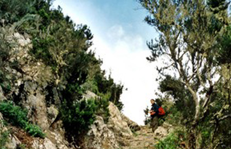 Hiking 3 Canary Islands at Christmas