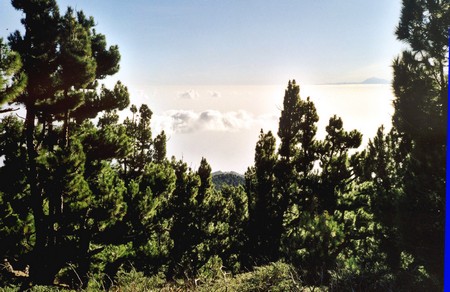 Hiking 3 Canary Islands at Christmas