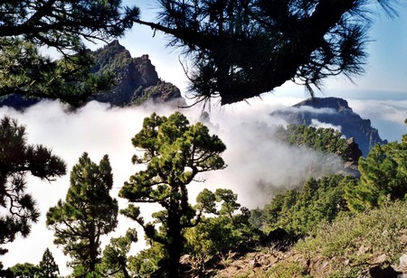 Hiking 3 Canary Islands at Christmas