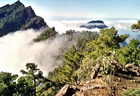 Hiking 3 Canary Islands at Christmas