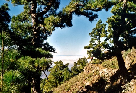 Hiking 3 Canary Islands at Christmas