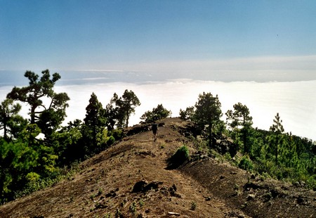 Hiking 3 Canary Islands at Christmas
