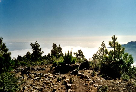 Hiking 3 Canary Islands at Christmas