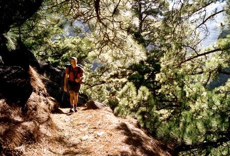 Hiking 3 Canary Islands at Christmas