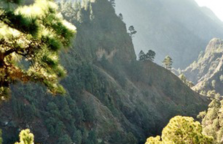 Hiking 3 Canary Islands at Christmas