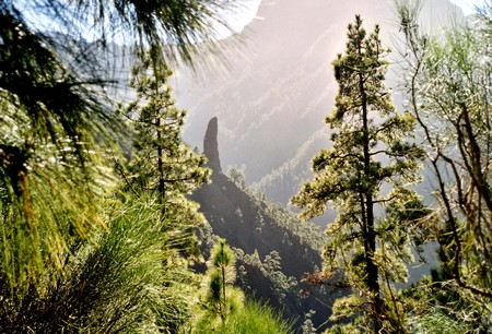 Hiking 3 Canary Islands at Christmas