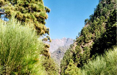 Hiking 3 Canary Islands at Christmas