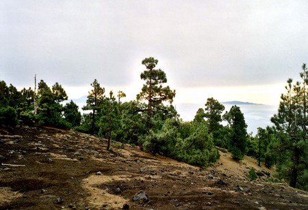 Hiking 3 Canary Islands at Christmas