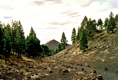Hiking 3 Canary Islands at Christmas