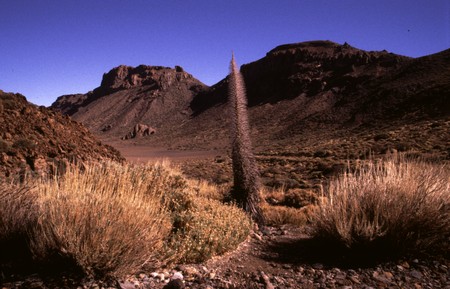 Hiking 3 Canary Islands at Christmas