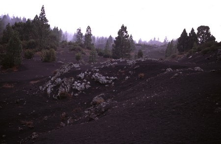 Hiking 3 Canary Islands at Christmas
