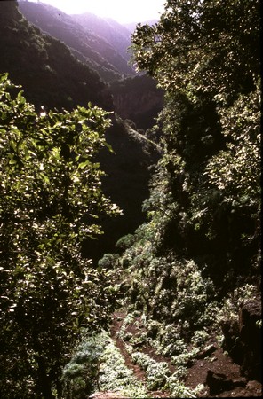 Hiking 3 Canary Islands at Christmas