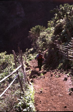 Hiking 3 Canary Islands at Christmas