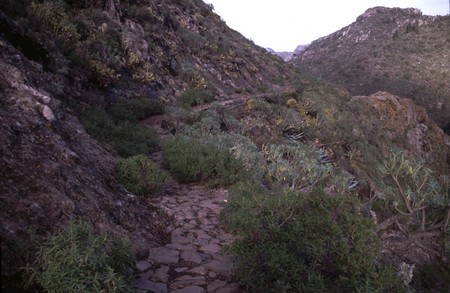 Hiking 3 Canary Islands at Christmas