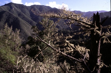 Hiking 3 Canary Islands at Christmas