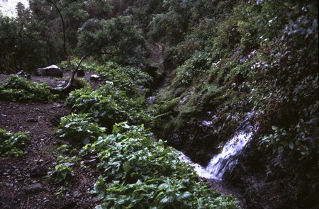 Hiking 3 Canary Islands at Christmas