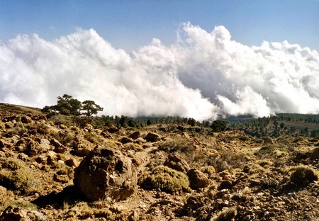Hiking 3 Canary Islands at Christmas