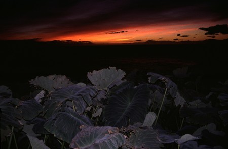 Hiking 3 Canary Islands at Christmas