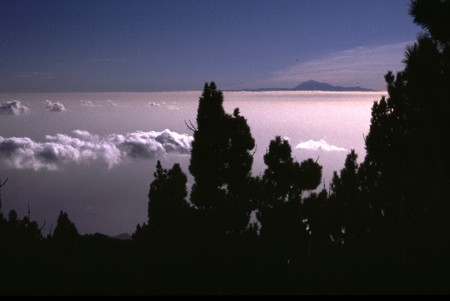 Hiking 3 Canary Islands at Christmas