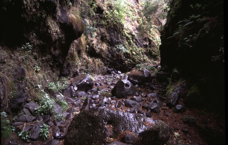 Hiking 3 Canary Islands at Christmas