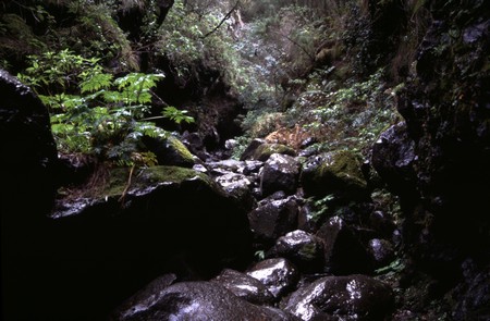Hiking 3 Canary Islands at Christmas