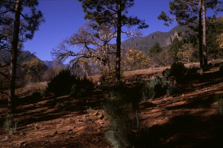 Hiking 3 Canary Islands at Christmas
