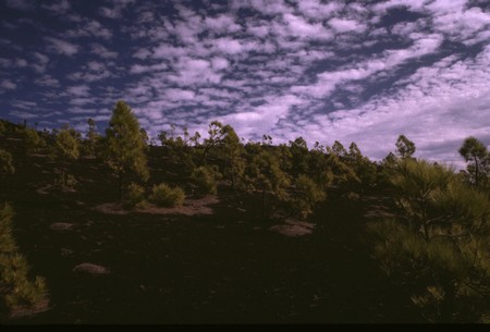 Hiking 3 Canary Islands at Christmas