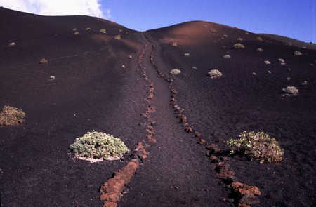 Hiking 3 Canary Islands at Christmas