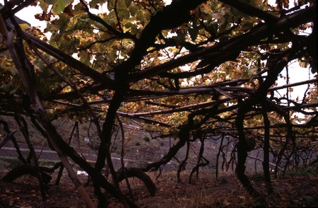 Hiking 3 Canary Islands at Christmas