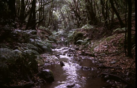 Hiking 3 Canary Islands at Christmas