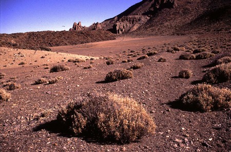 Hiking 3 Canary Islands at Christmas