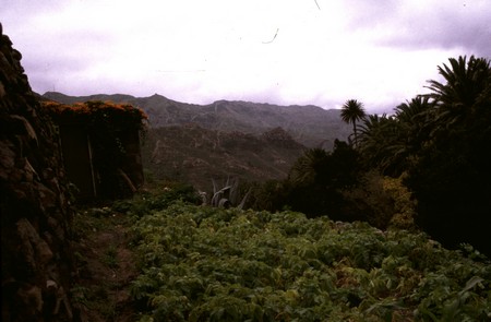 Hiking 3 Canary Islands at Christmas