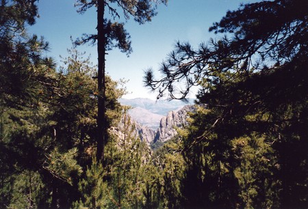Tour of Corsica