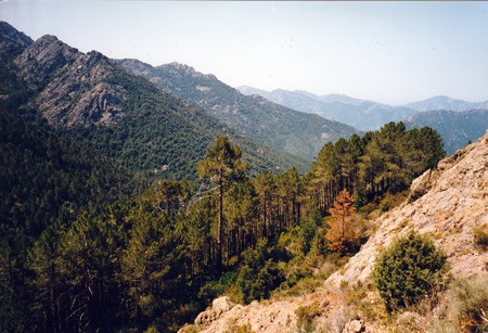 Tour of Corsica