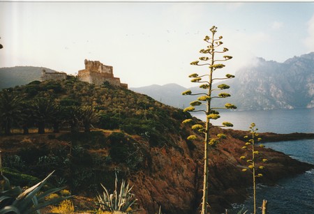 Tour of Corsica