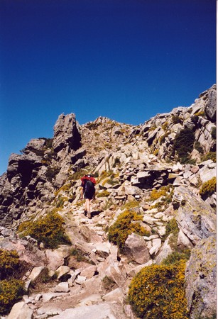 Tour of Corsica