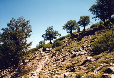 Tour of Corsica