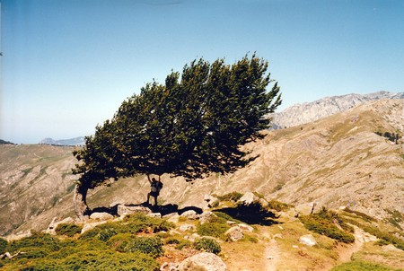Tour of Corsica