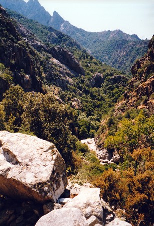 Tour of Corsica