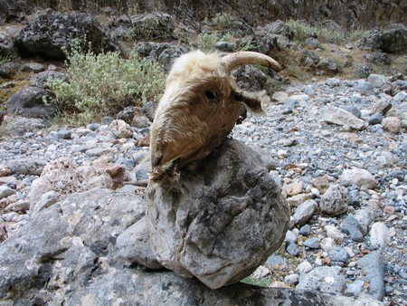 Crete: hiking, diving and exploring ancient remains