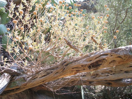 Crete: hiking, diving and exploring ancient remains