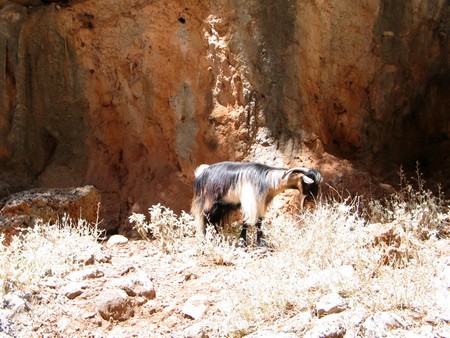 Crete: hiking, diving and exploring ancient remains