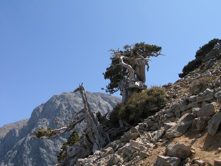 Crete: hiking, diving and exploring ancient remains