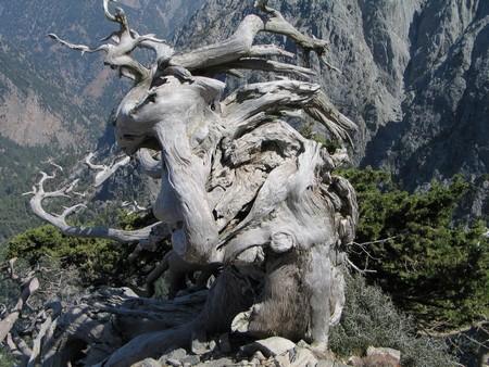 Crete: hiking, diving and exploring ancient remains