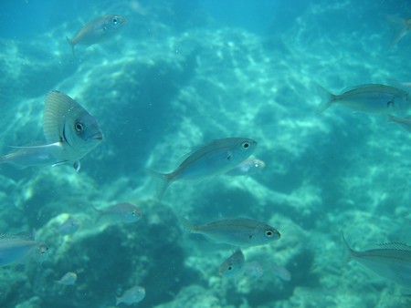 Crete: hiking, diving and exploring ancient remains